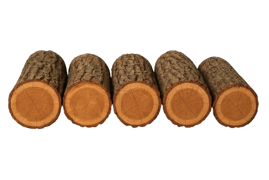 screenshot 2025 08 04 153716 removebg preview